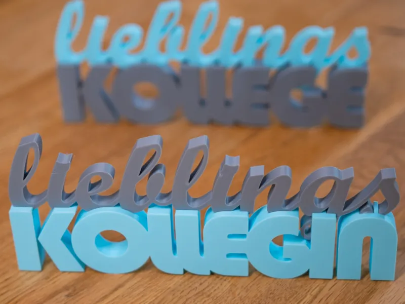 Schriftzug - lieblings KOLLEGIN