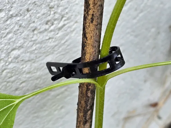 https://makerworld.bblmw.com/makerworld/model/US6360c495b87f93/design/2025-05-25_8ce43b84ee20e8.jpg