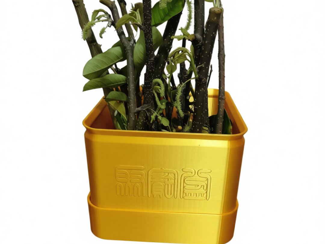 Treasure Basin-style Gardening Propagation Wonder