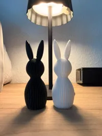 PETG: 0.2mm layer, 1 walls, 0% infill