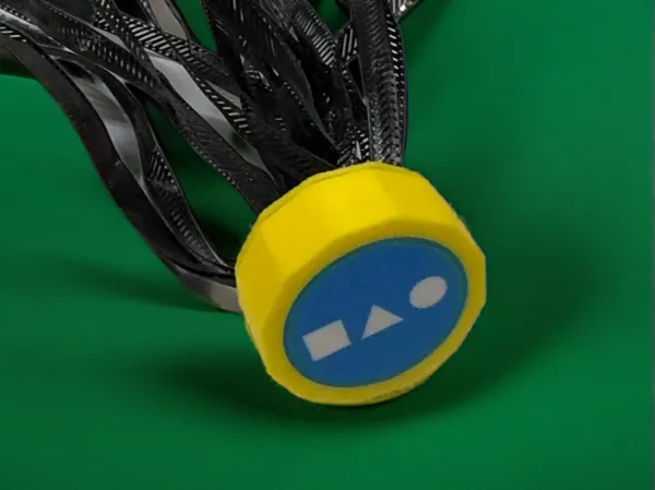 https://makerworld.bblmw.com/makerworld/model/US636831990b2729/design/2025-01-14_efbf75c03e6f2.png