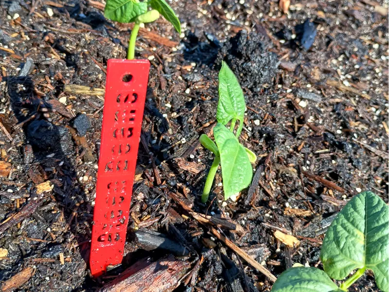 Parametric Garden Plant Stake Sign Generator Lite