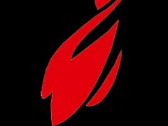 logo snt