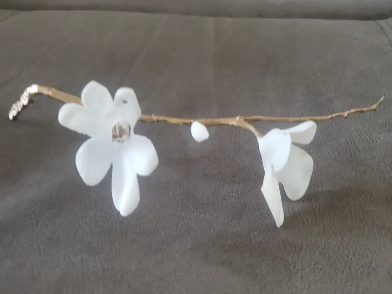 CHERRY BLOSSOM BRANCH
