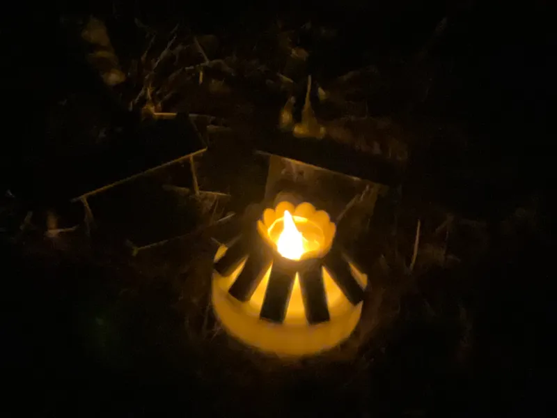 Comfy Camp