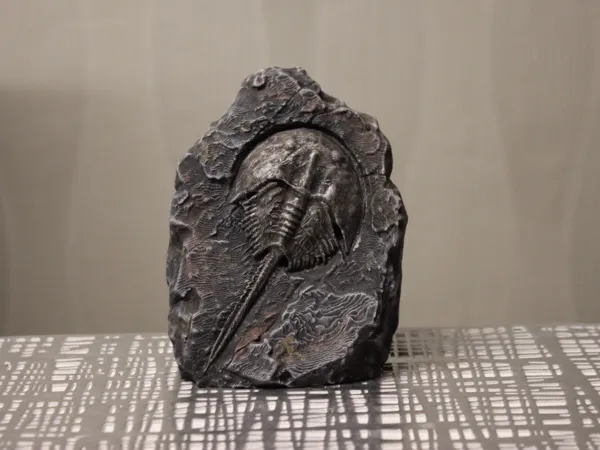 https://makerworld.bblmw.com/makerworld/model/US6378d385fbb277/design/fb1aed6d2819617b.jpg