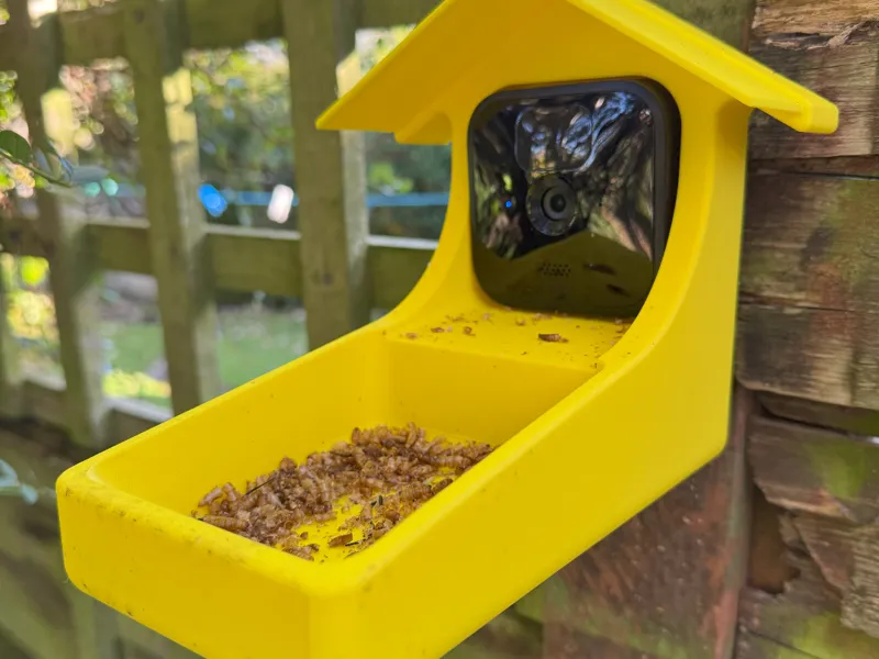 Bird Feeder Blink Mini Outdoor - 5 degree