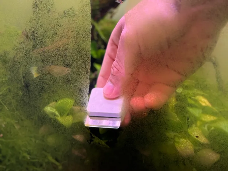 Magnetic Aquarium Algae Scraper