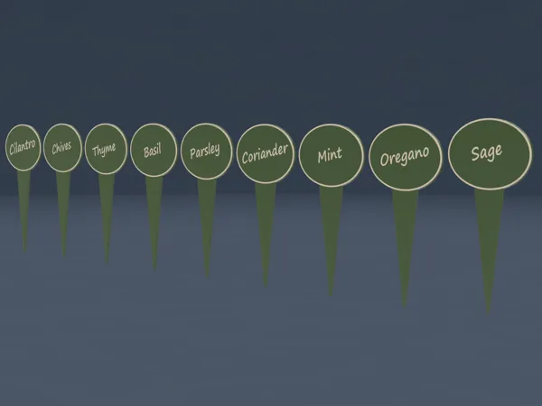 https://makerworld.bblmw.com/makerworld/model/US6381996b4c1c05/design/2024-11-18_d8e6c0a21a58c.png