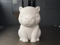 0.2mm layer, 2 walls, 5% infill