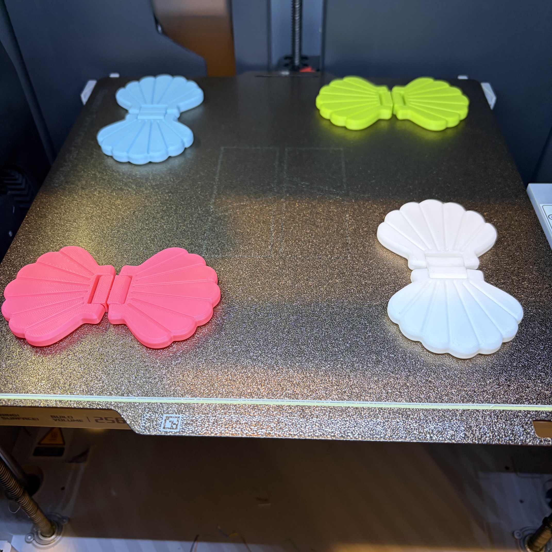 Sensory Seashell Slider + Flip Fidget Toy (40 min) - 1