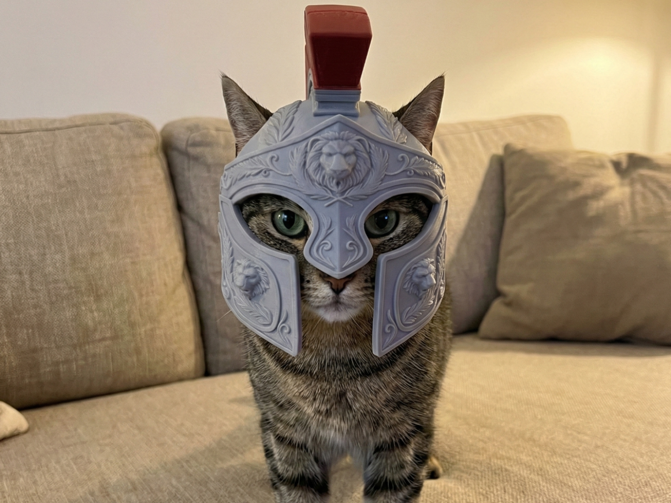 Roman Centurion Kitty Helmet