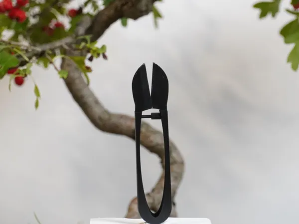 https://makerworld.bblmw.com/makerworld/model/US638ab336919a7b/design/2025-09-06_b5a8415455e8d.jpg