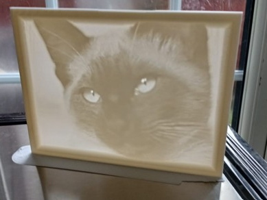 Siamese cat lithophane