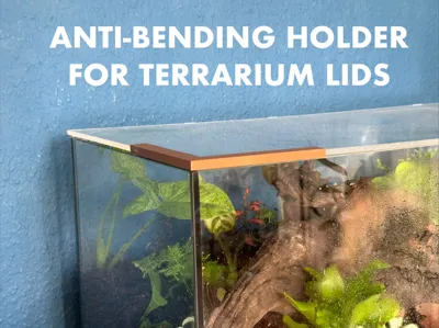 ANTI-BENDING HOLDER FOR TERRARIUM LID