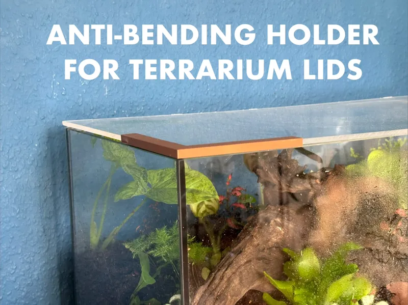 ANTI-BENDING HOLDER FOR TERRARIUM LID