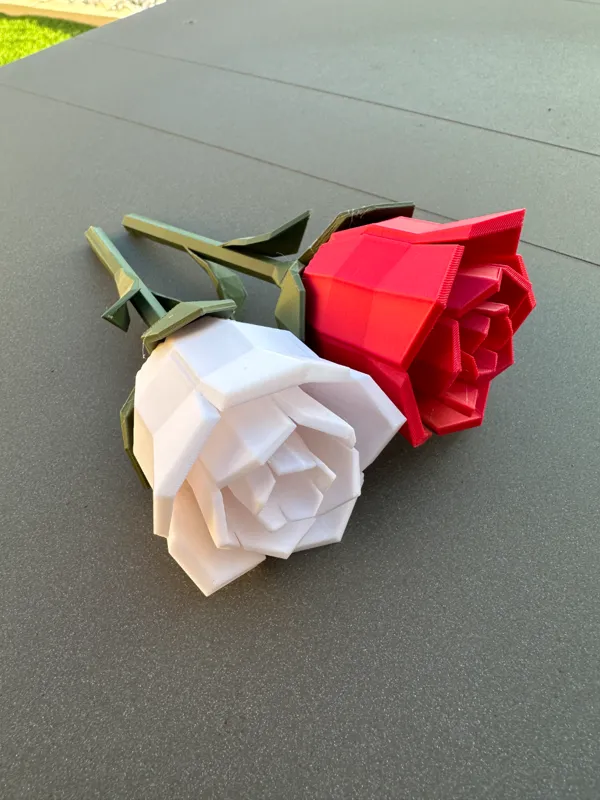 https://makerworld.bblmw.com/makerworld/model/US638eaeb66cf253/design/2023-12-18_4d9b2c664817.jpg