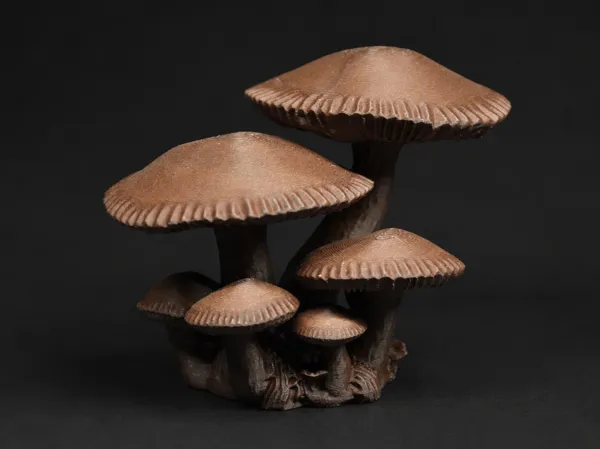 https://makerworld.bblmw.com/makerworld/model/US6394c0f8e2726c/design/0de5602701331630.png