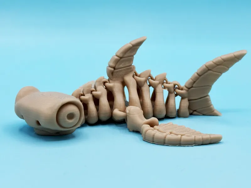 Articulated skeleton Hammerhead shark