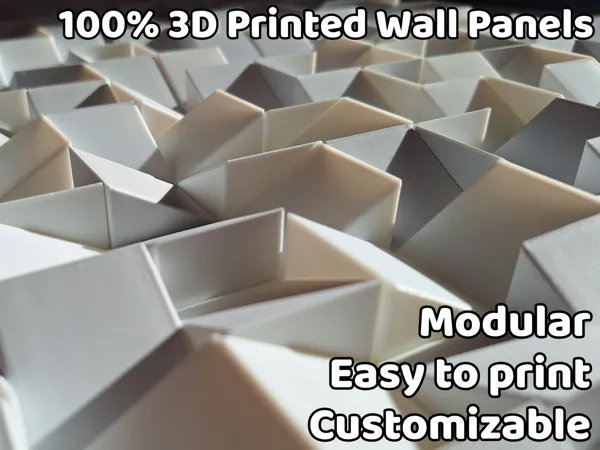 https://makerworld.bblmw.com/makerworld/model/US6397a4adc81c94/design/2024-11-17_bf521c17ccec8.png