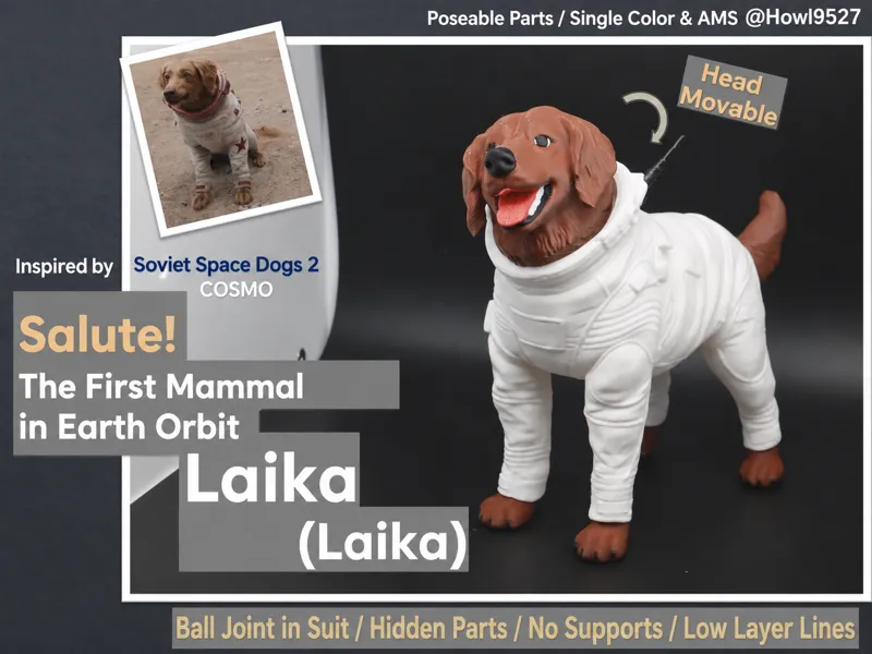 【前苏联太空狗莱卡Laika】第一只进入地球轨道的哺乳动物(银河护卫队2 Cosmo形象)