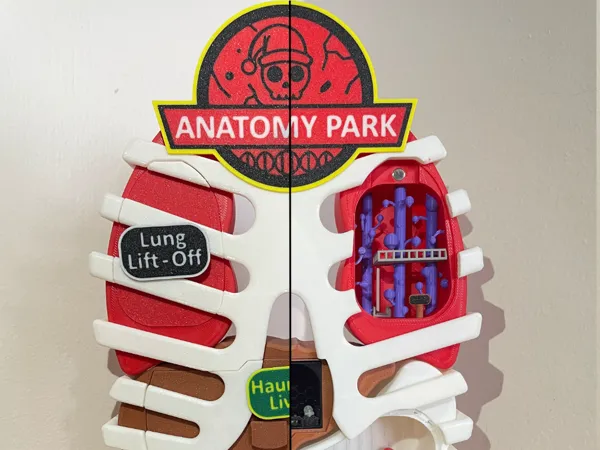 https://makerworld.bblmw.com/makerworld/model/US639dc6b4976fad/design/2024-08-19_42a7d5ce1441d.jpg
