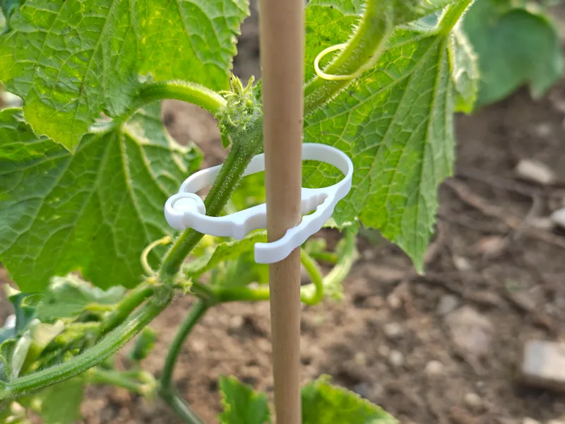 Universeller Pflanzklipp für Stangen (3–11 mm)
