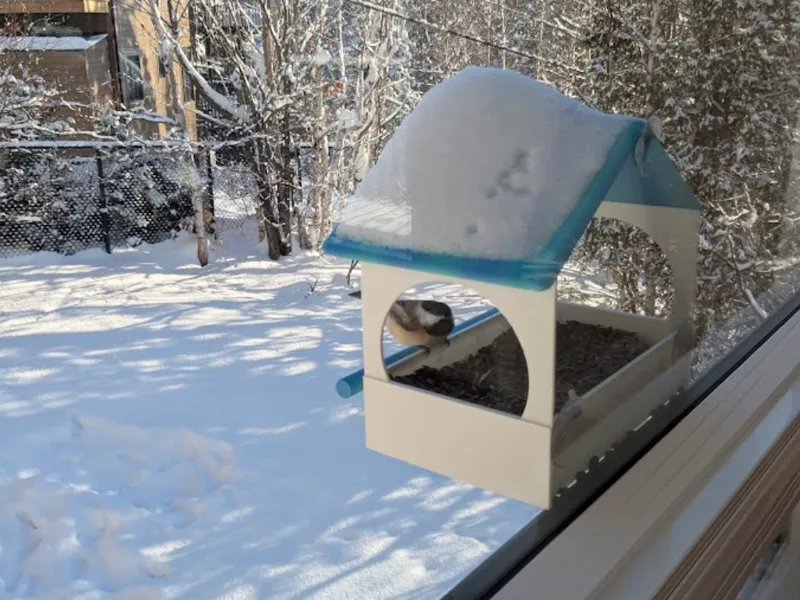 Birdhouse