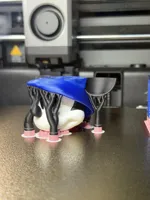 0.16mm layer, 2 walls, 5% infill