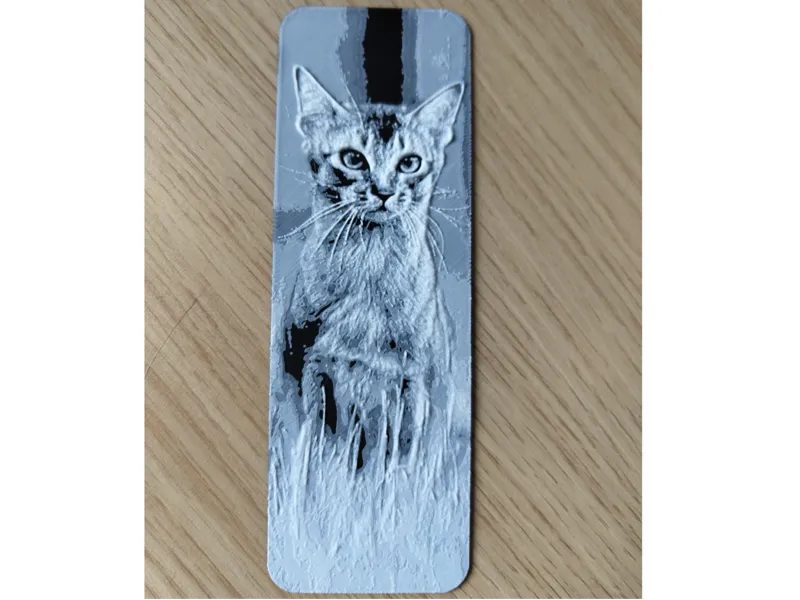 Rudy Abyssinian cat bookmark