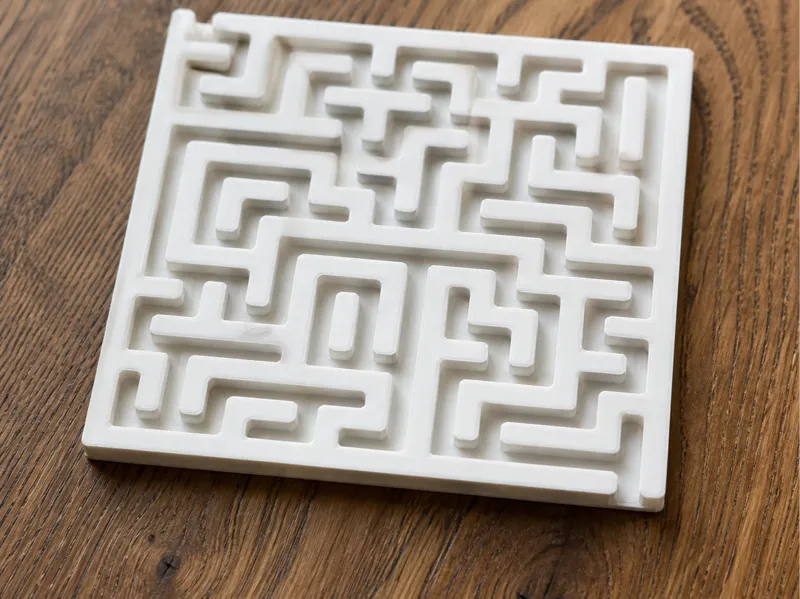 labyrinthe pour Myxomycètes(blob)