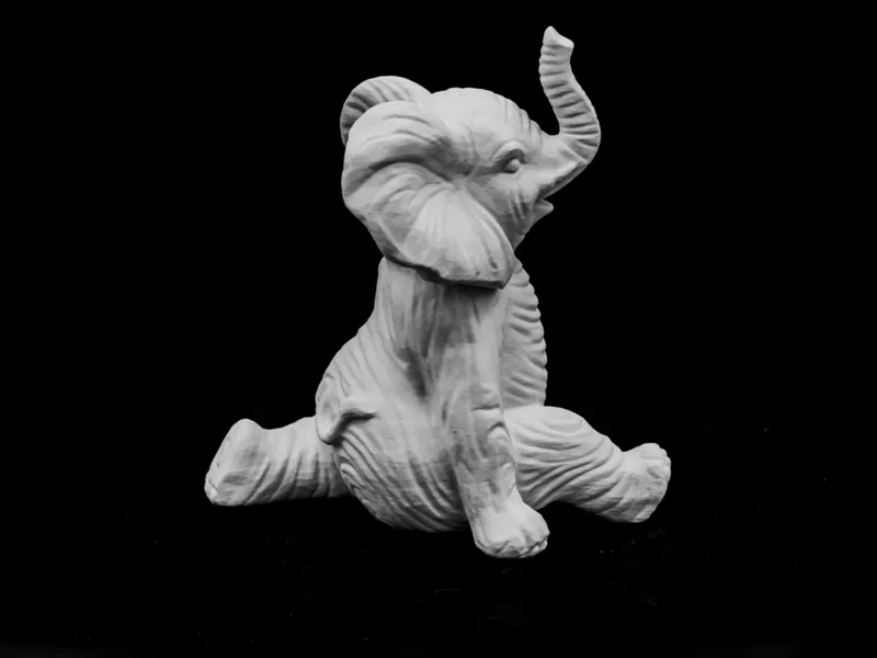 Elephant Split