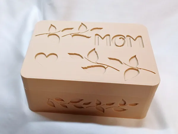 https://makerworld.bblmw.com/makerworld/model/US63adde6130555f/design/2025-05-07_692306990987f.jpg