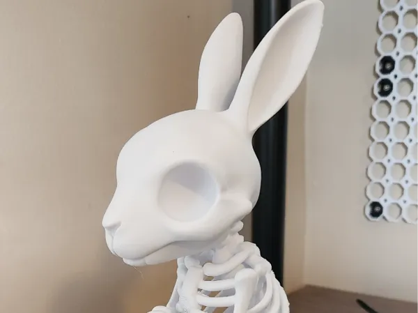 https://makerworld.bblmw.com/makerworld/model/US63ae9fe1865c9e/design/2025-10-20_d92aaace63ab3.jpg