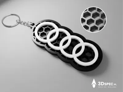 Audi Keychain