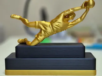 Best Goalkeeper Trophy 