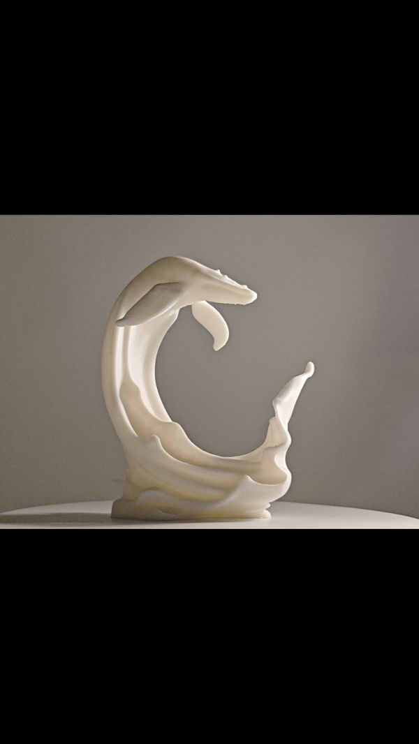 https://makerworld.bblmw.com/makerworld/model/US63b2edc727ca8c/design/2024-11-12_feefc425475e4.gif