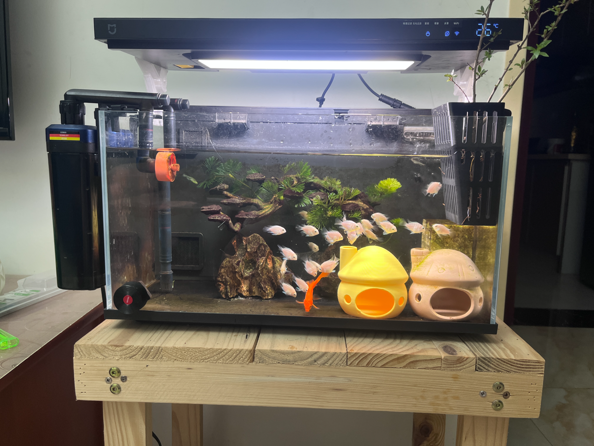 Miniatura 1 do modelo 3D 鱼缸蘑菇躲避屋