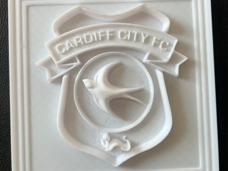 Cardiff City Framed Relief
