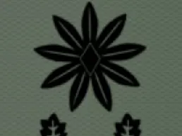 South Korea army colonel insignia (한국군 대령 계급장)