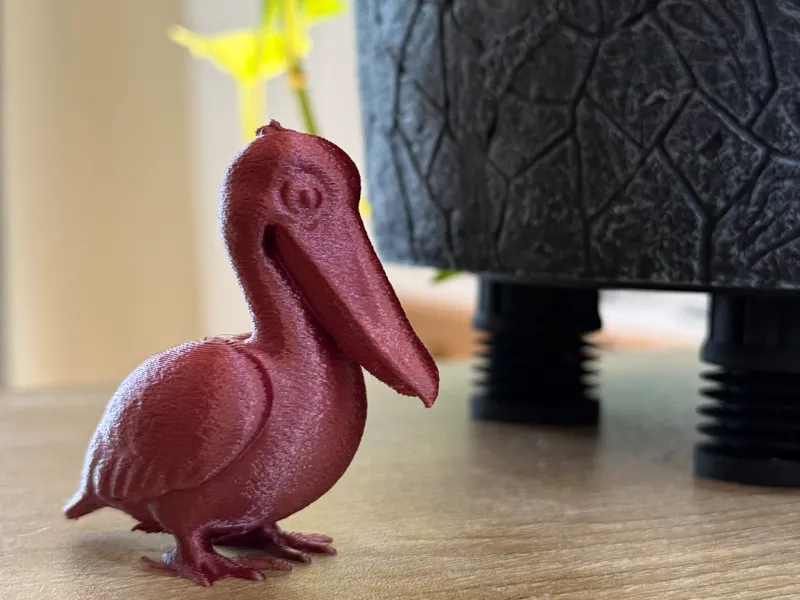 Cute Pelican