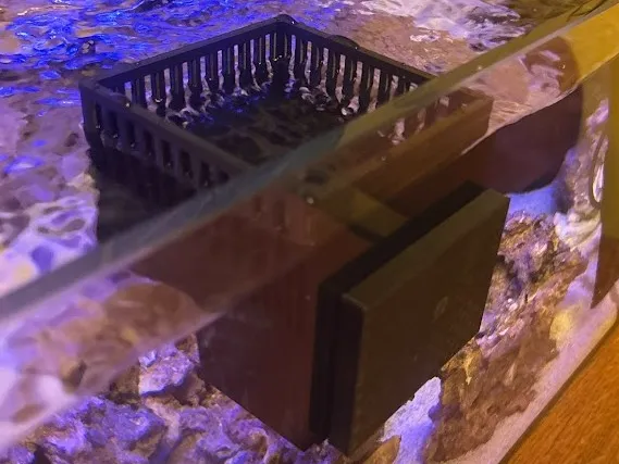 Magnetic Anenome Box 