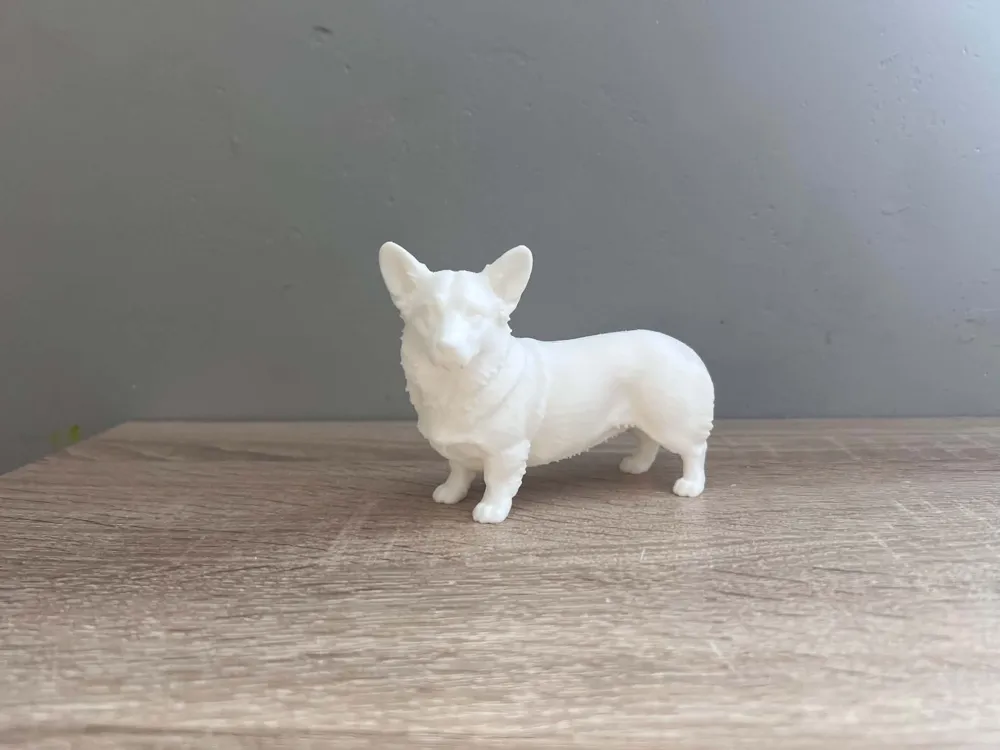 Pembroke Welsh Corgi - Dog - Free 3D Print Model - MakerWorld