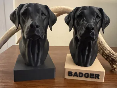 https://makerworld.bblmw.com/makerworld/model/US63c26fb3972a3a/design/2026-01-16_dc5bd1feca8a5.png