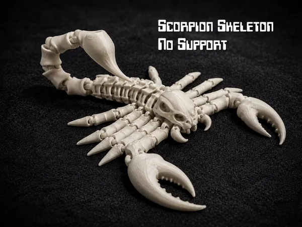 https://makerworld.bblmw.com/makerworld/model/US63c32a31f493ee/design/dfaf2e3be8a8011e.png