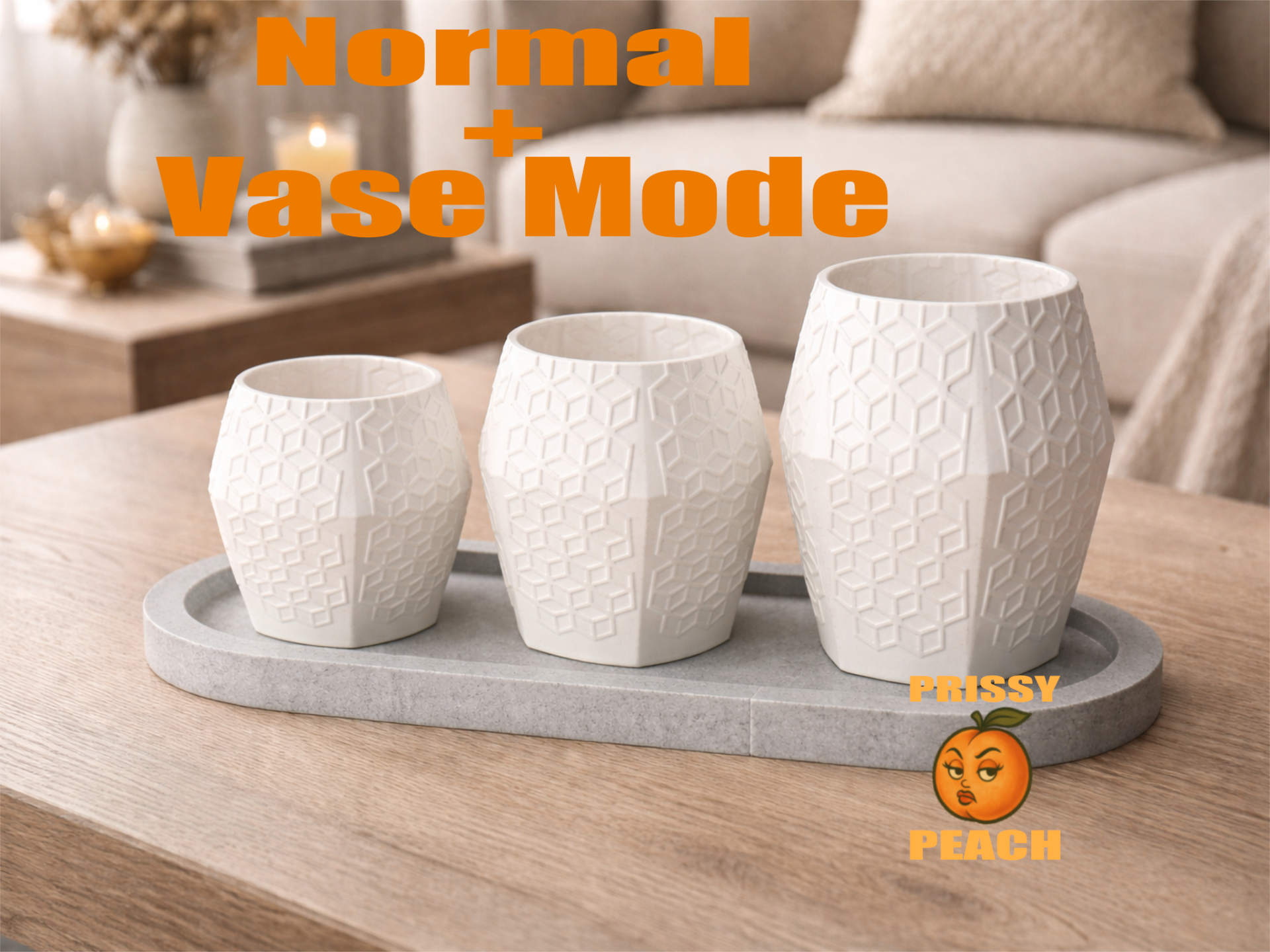 Modern Planter & Vase Flower Pot –Vase Mode Design