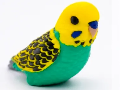 Realistic Budgerigar (Budgie)