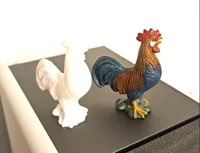 Coq — photo 4