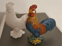 Coq — photo 2