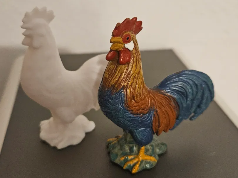 Coq